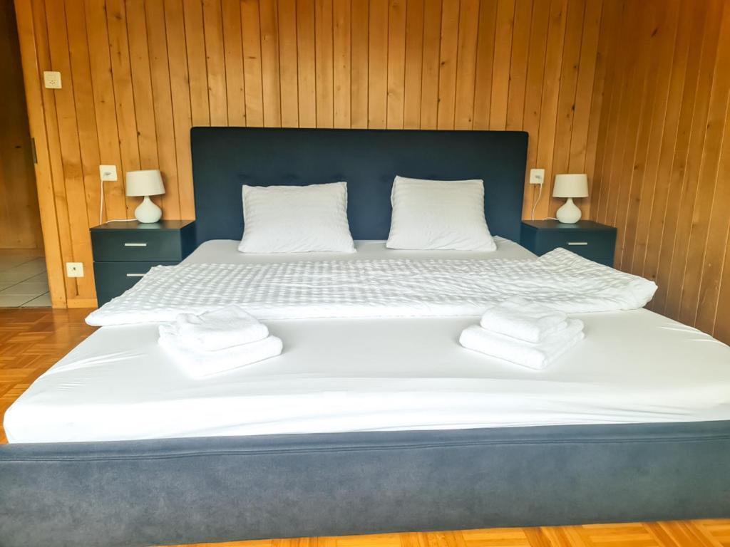 Abendberg Apartment - Aare Jungfrau Ag Wilderswil Buitenkant foto